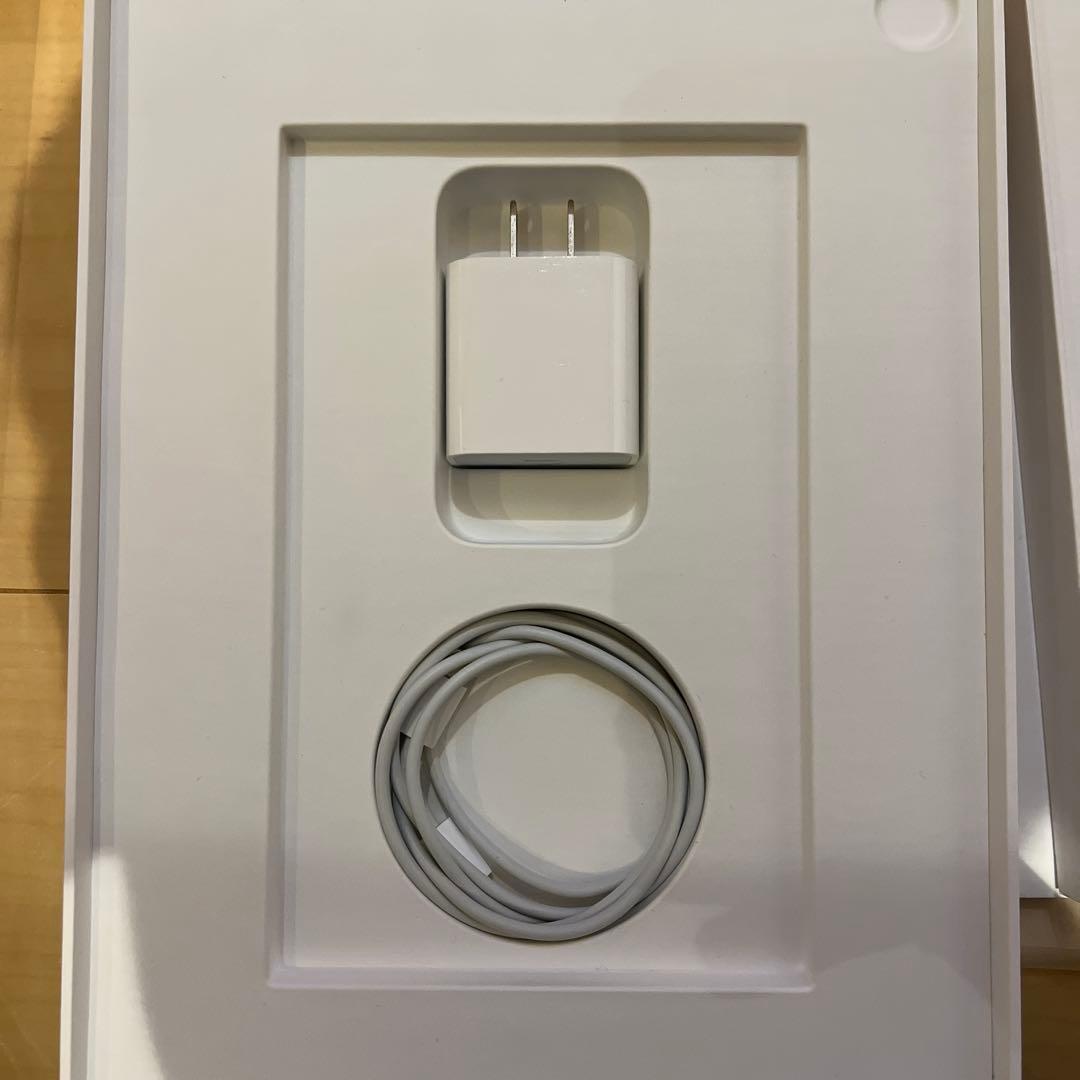 Apple iPad Air 第4世代　スカイブルー　Apple Pencil