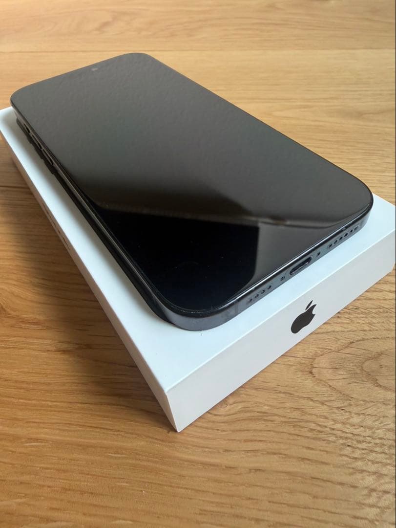 iPhone 16 Pro Max 256GB ブラックチタニウム＋おまけ付