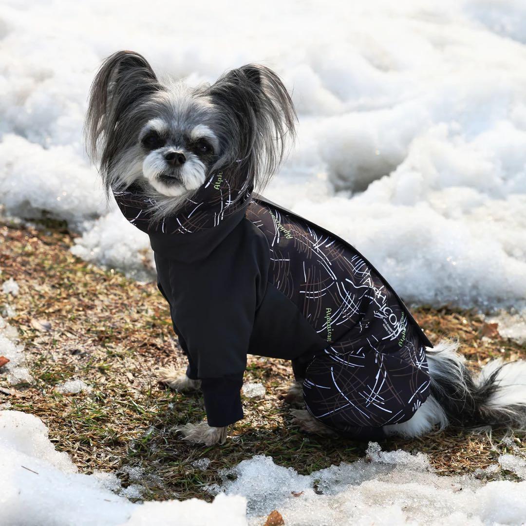 アルファアイコン エアライナー COSMIC XL ポケット セット