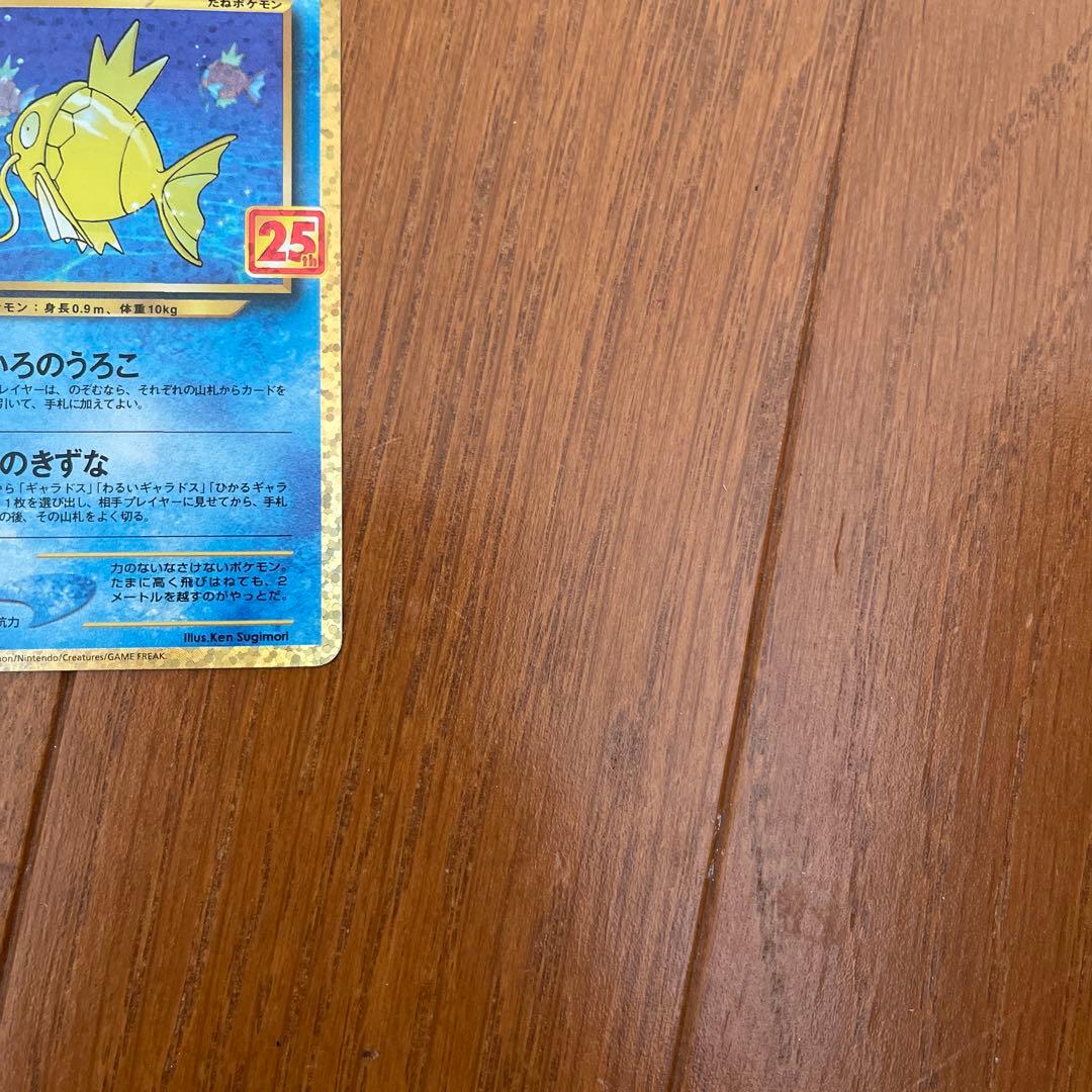 ひかるコイキング25th