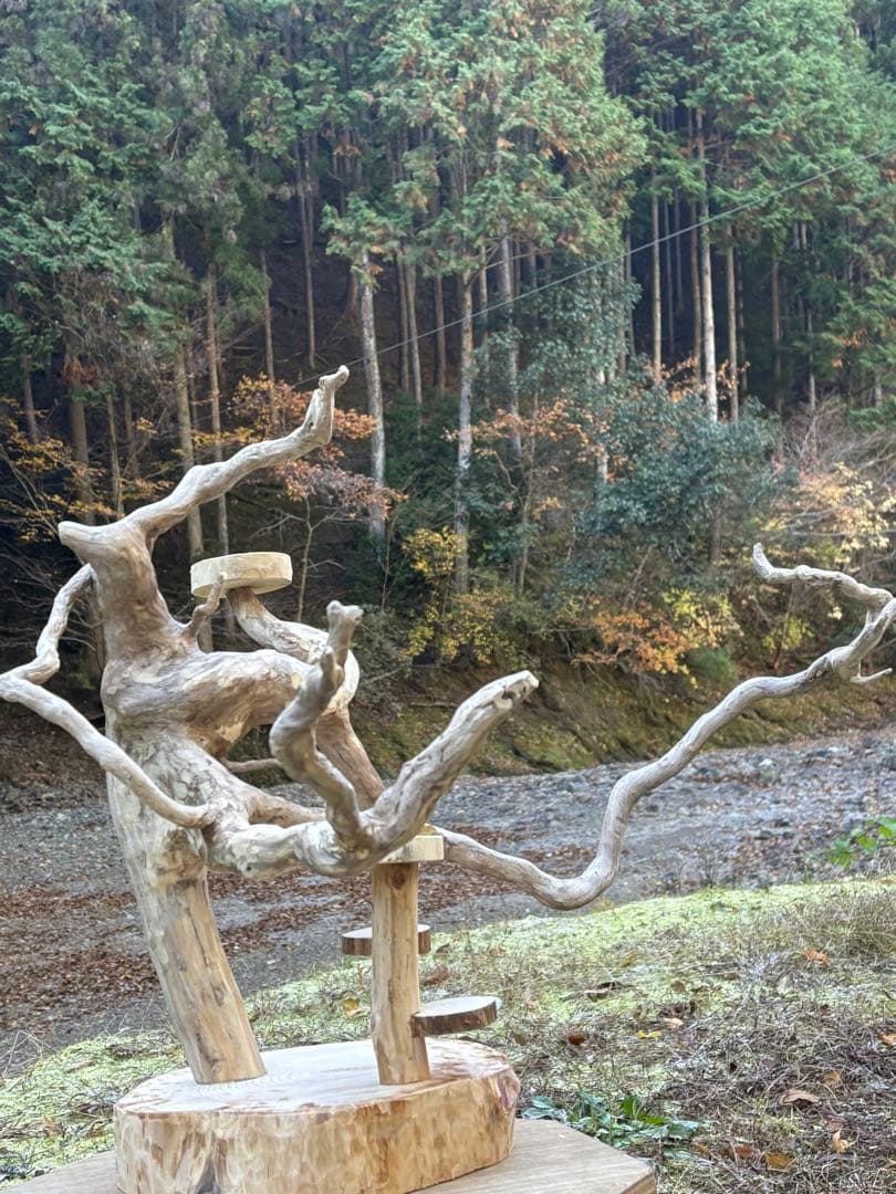 止まり木 kan_oqsm