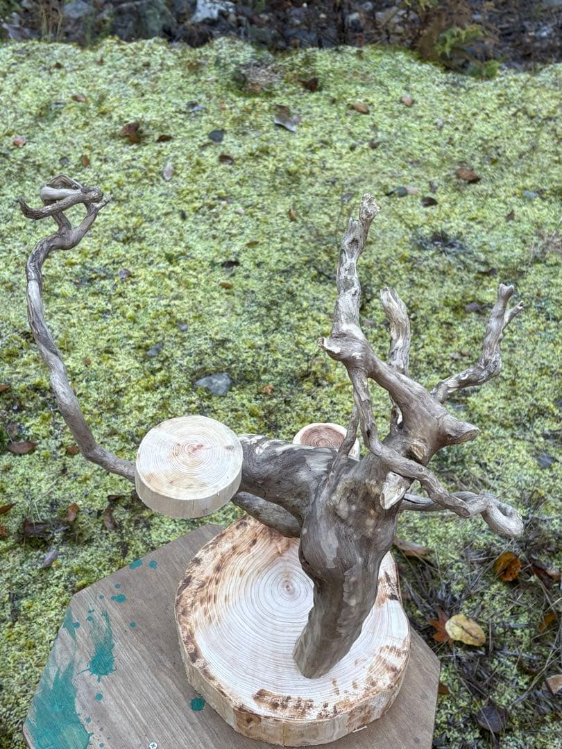 止まり木 kan_oqsm