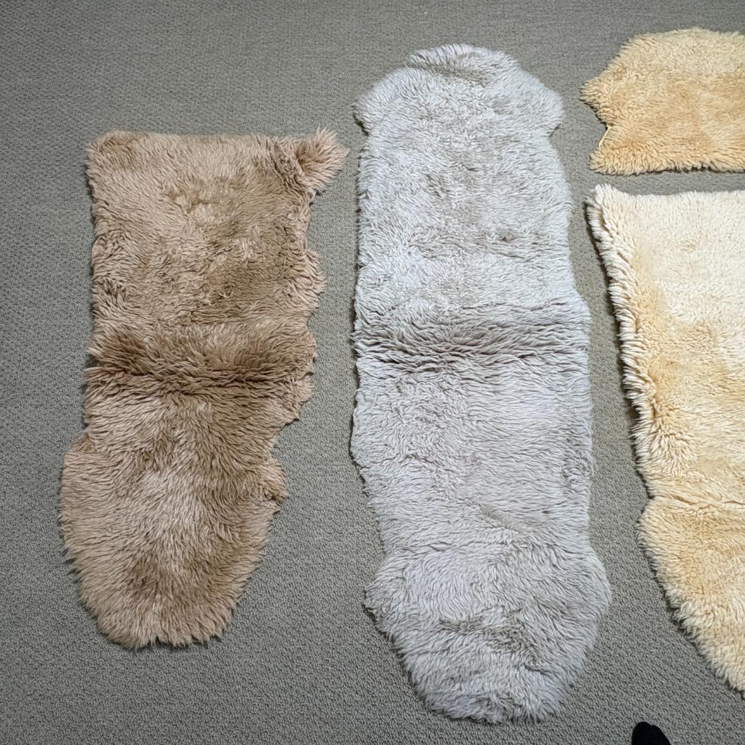 【5点セット】大判 ムートン ラグカーペット 羊毛