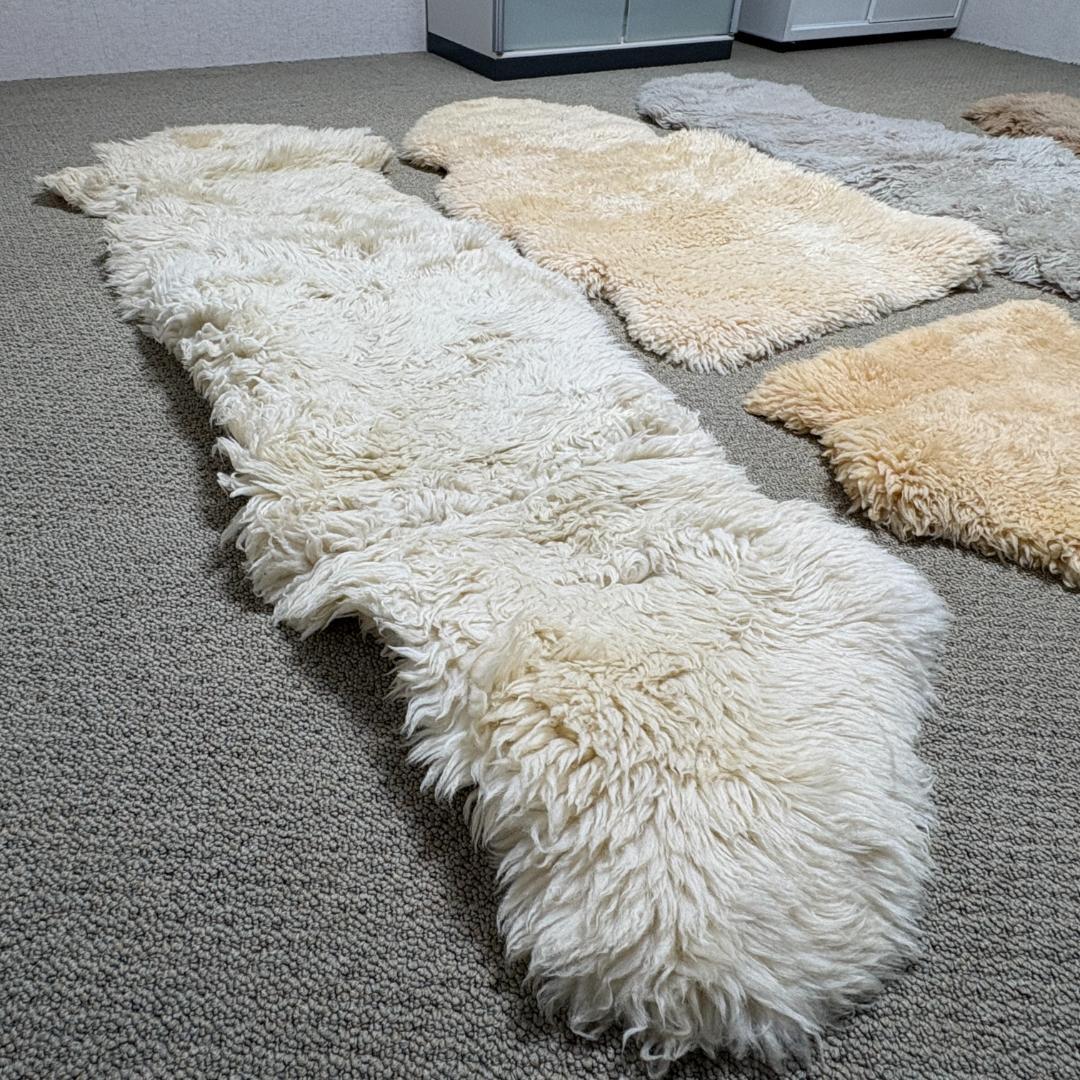 【5点セット】大判 ムートン ラグカーペット 羊毛