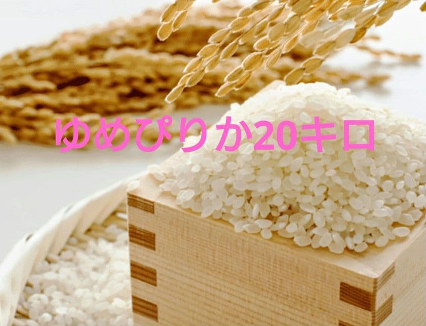 ゆめぴりか 精米 20kg 北海道産