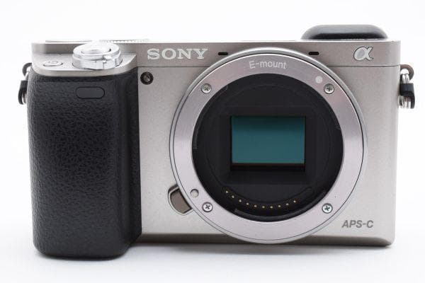 ソニー SONY α 6000 ILCE-6000 ダブル レンズ キット