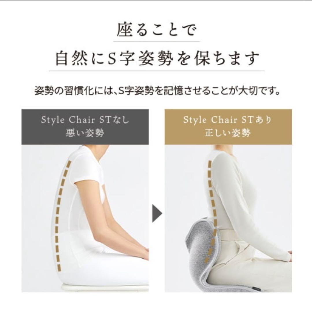 【美品】MTG Style Chair ST スタイルチェア グレー