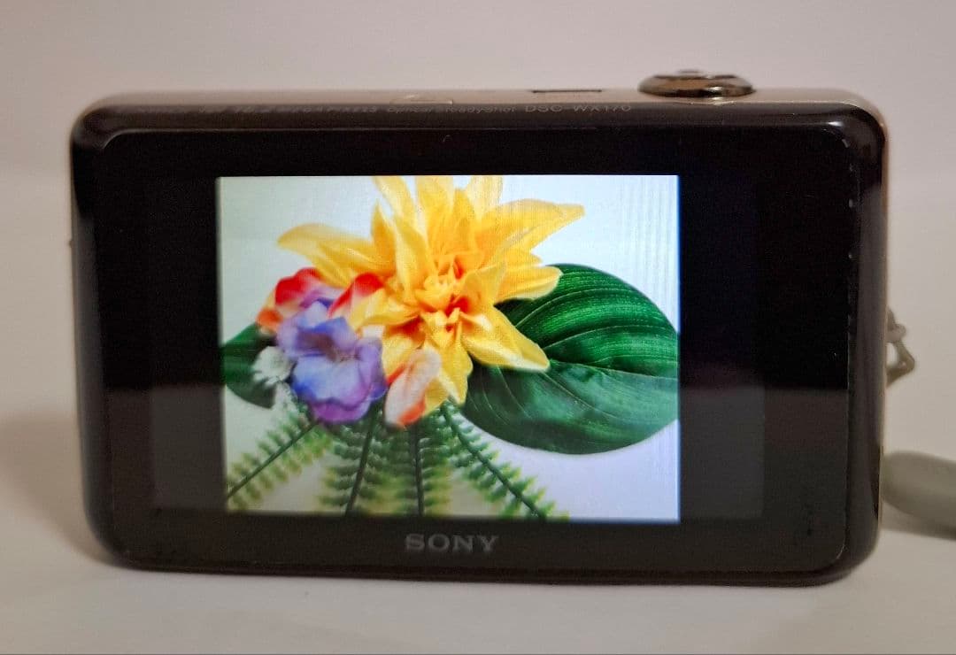 [準美品]ソニー SONY Cyber-Shot DSC-WX170 コンデジ