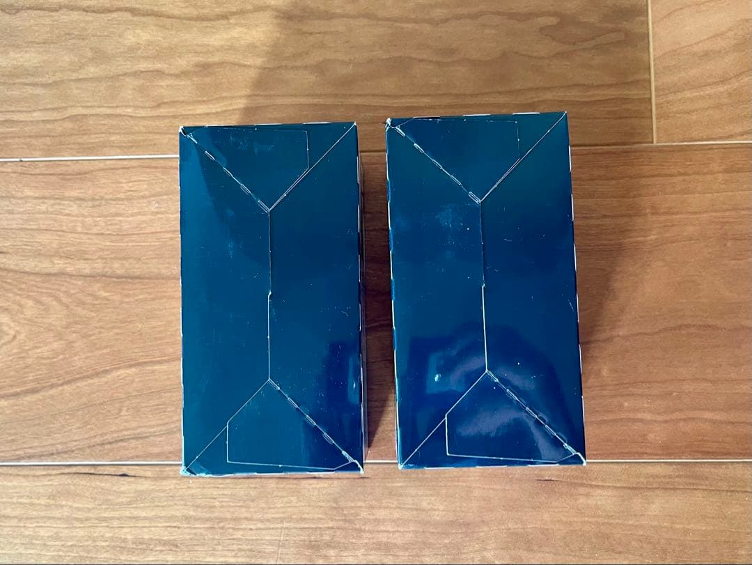 デジモンカードゲーム RB-01 ライジングウインド　2boxセット