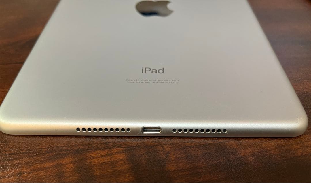 【かじひろ】iPad mini 5 Wi-Fi + Cellular