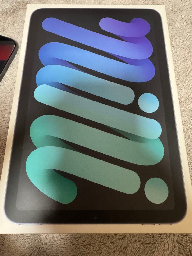 iPad mini 第6世代 WiFi 64GB スペースグレイ