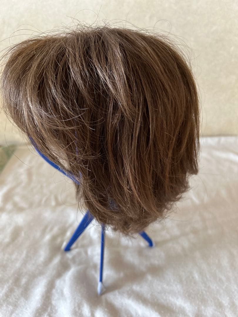 フォンティーヌ　フルウィッグ