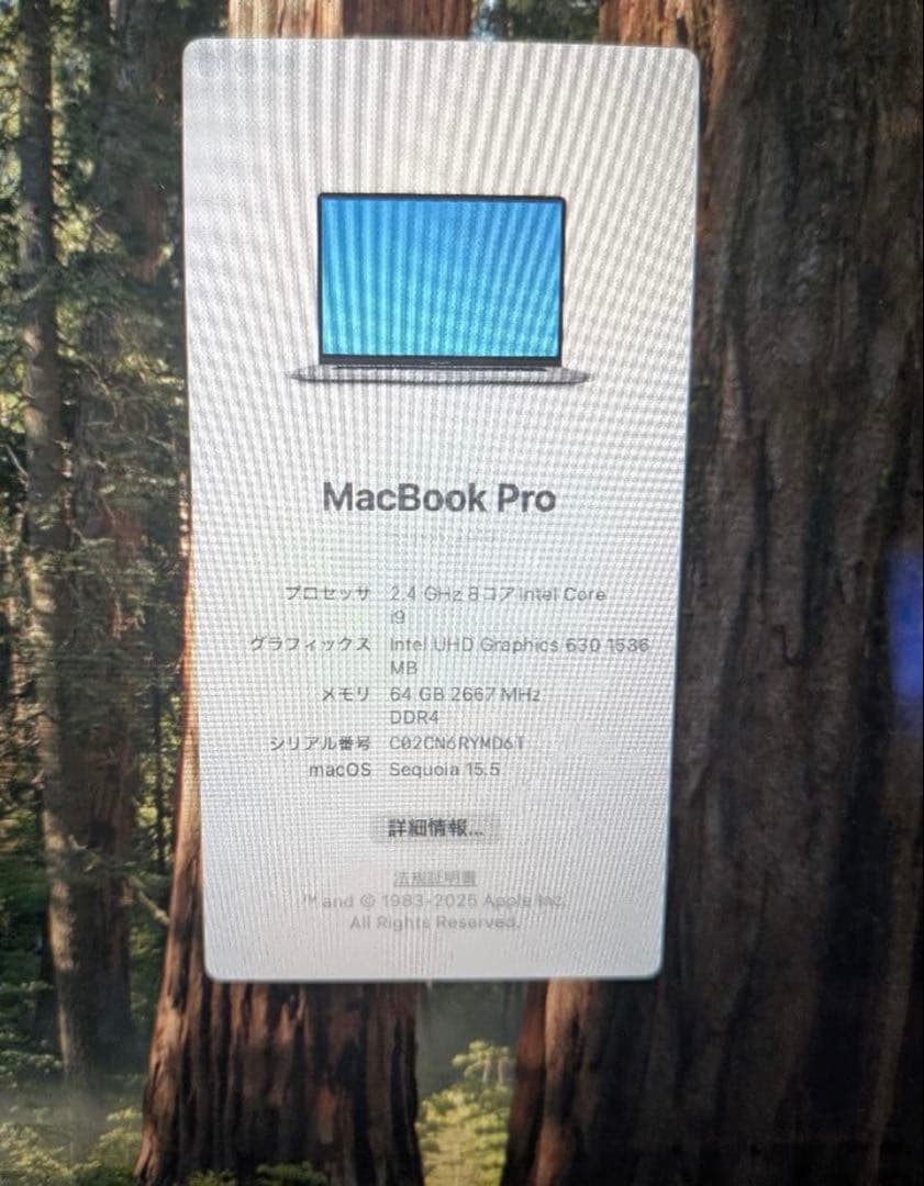 MacBook Pro 64GBメモリ 2TB動作良好