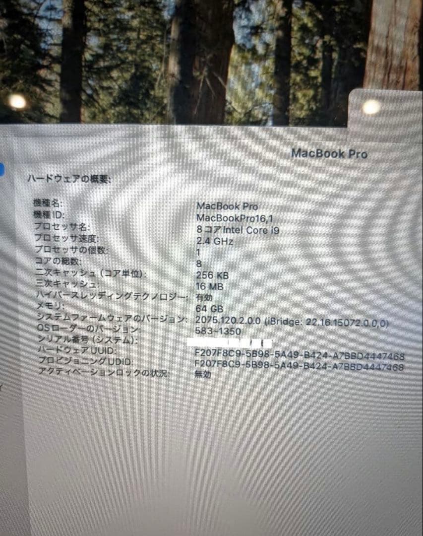 MacBook Pro 64GBメモリ 2TB動作良好