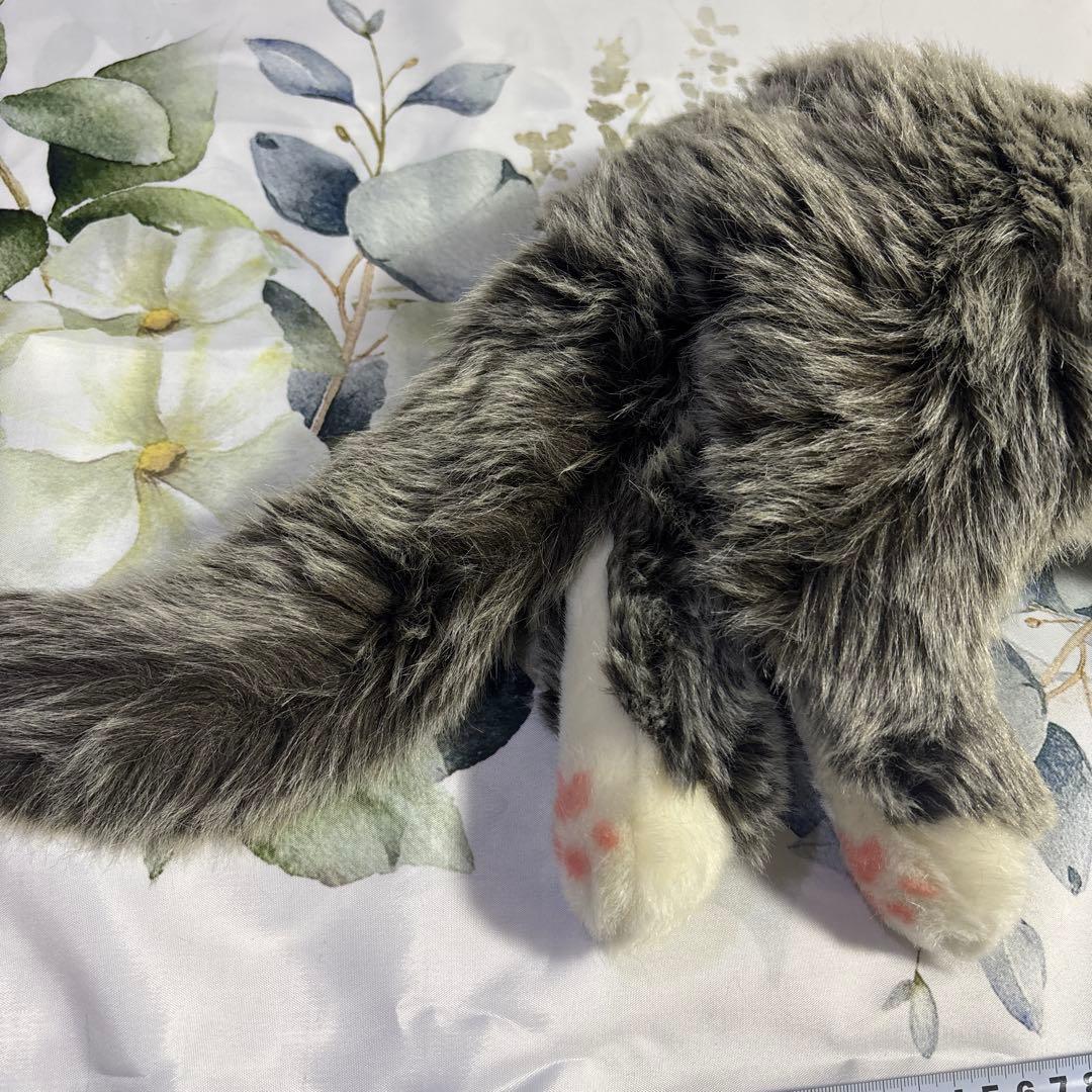 kosen (ケーセン)メインクーン　ねそべり猫