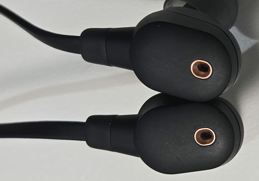 SONY WI-1000XM2 ワイヤレスイヤホン　美品