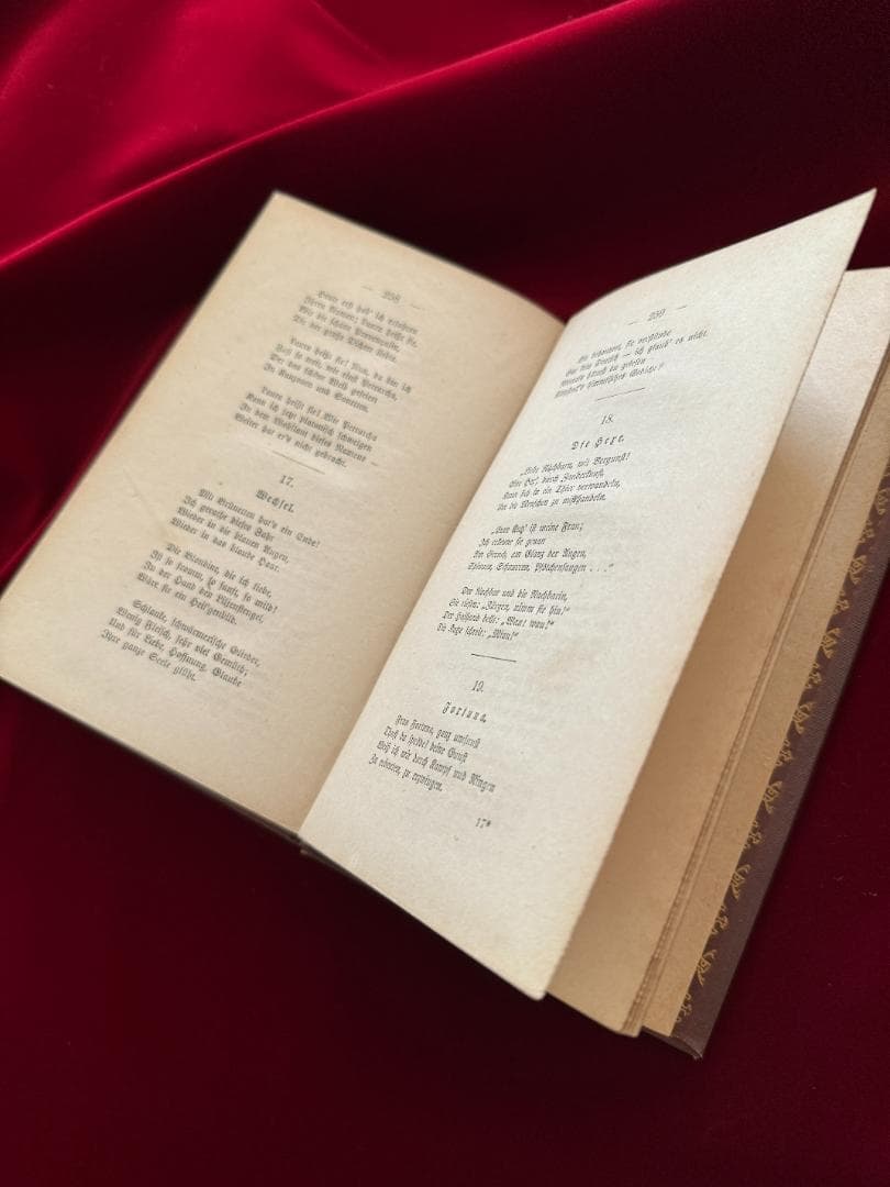 1876年　ハインリヒ・ハイネ　アンティーク　洋書　古書　ドイツ　レア