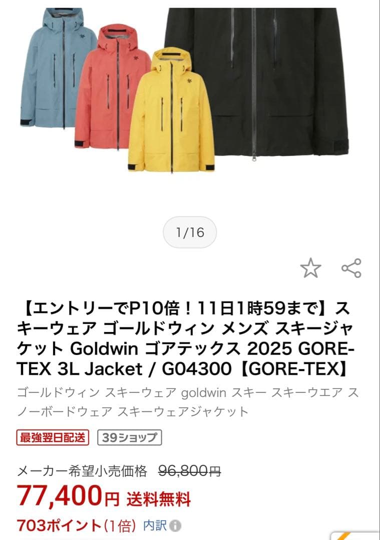 Goldwin スキージャケットGO4300 サイズ3 【GORE-TEX】