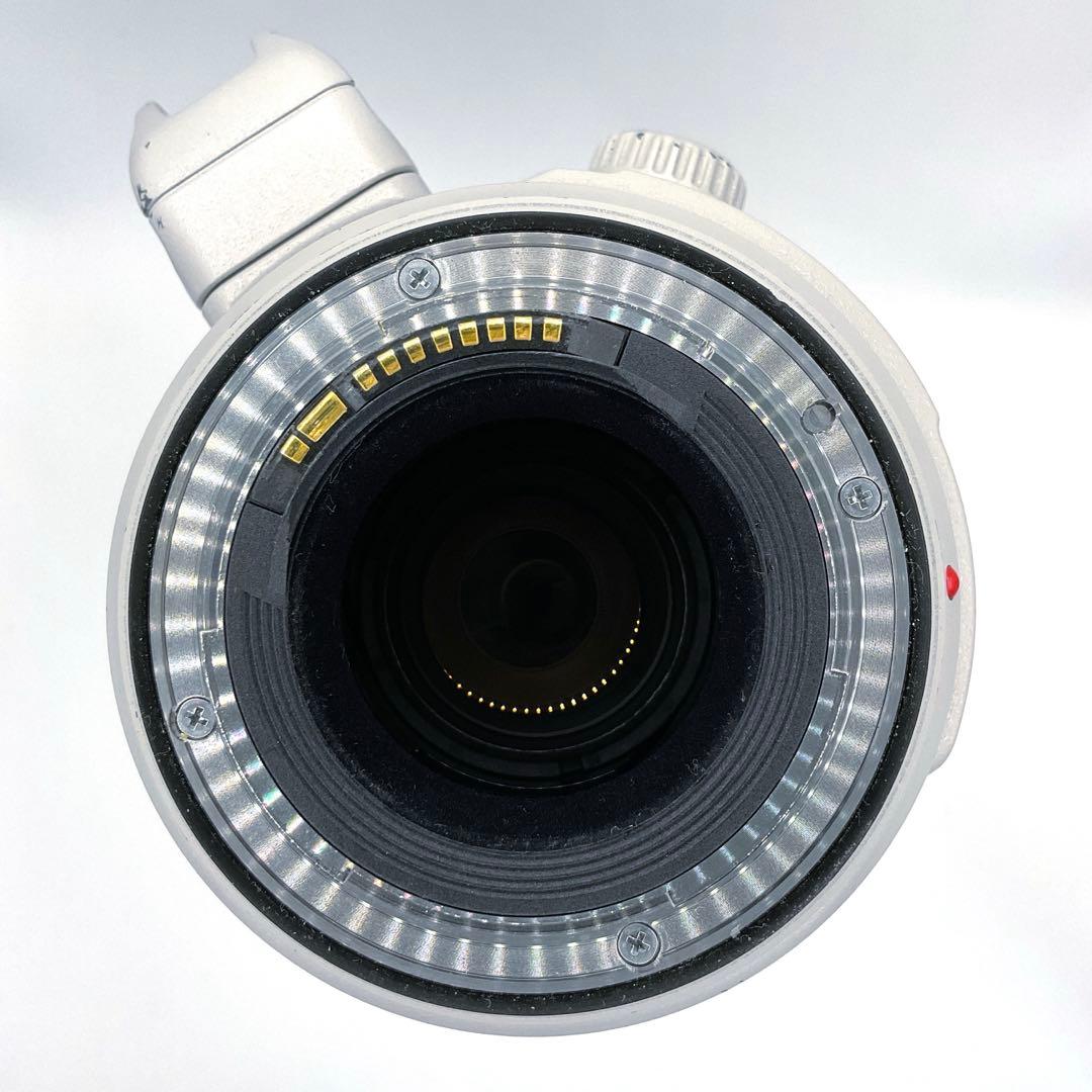 レンズ(ズーム) Canon EF100-400mm F4.5-5.6L IS II USM 02