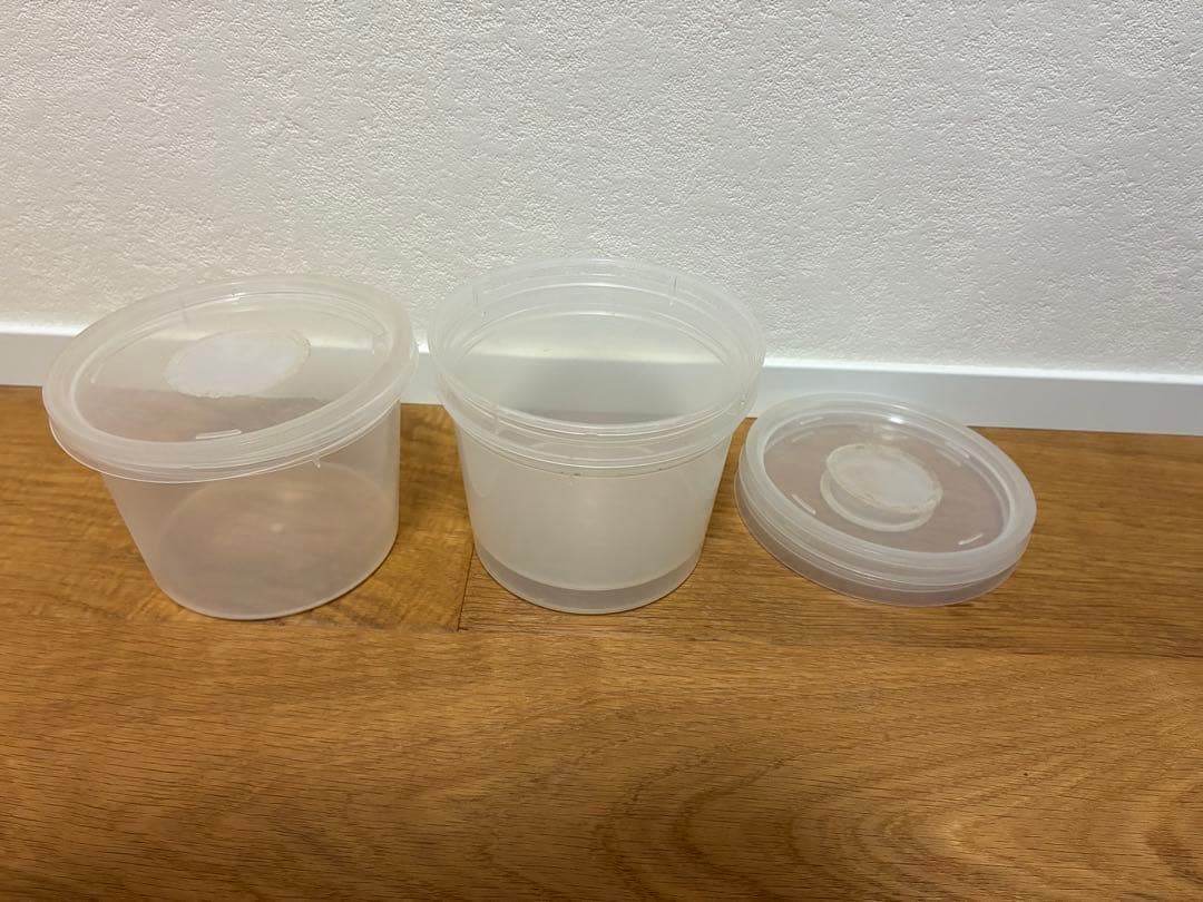 クワガタ ・カブトムシ　飼育良品　まとめ売り