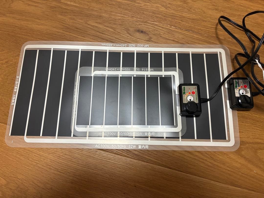 クワガタ ・カブトムシ　飼育良品　まとめ売り