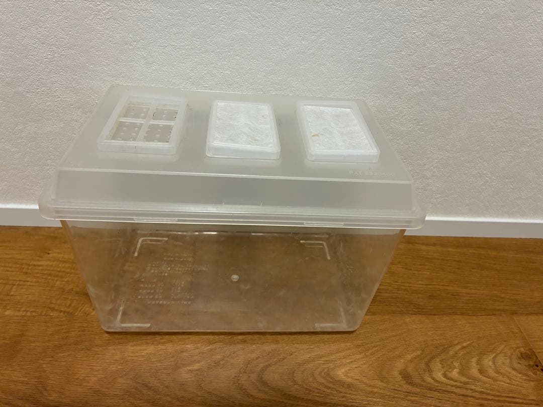 クワガタ ・カブトムシ　飼育良品　まとめ売り