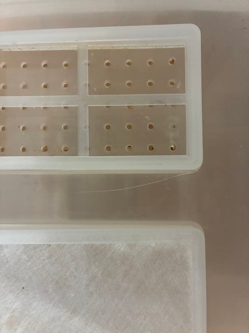 クワガタ ・カブトムシ　飼育良品　まとめ売り