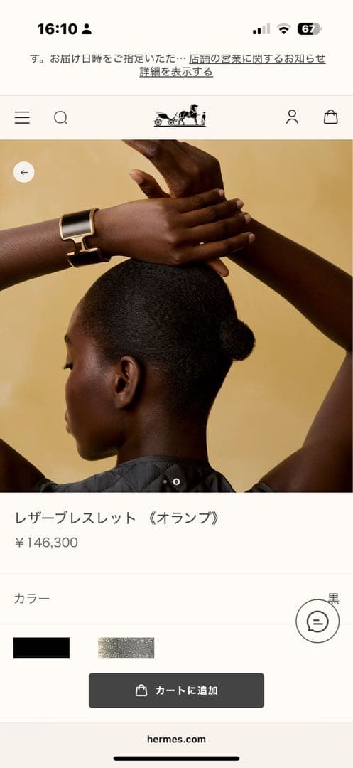 【新品】激レア HERMES リザード オランプ ブラック ゴールド