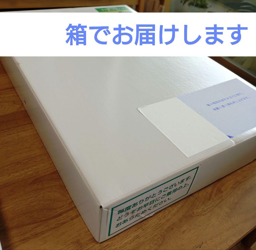 組曲 フォーマル160cm スーツ3点セット 中学受験/受検 面接 卒業式 卒服