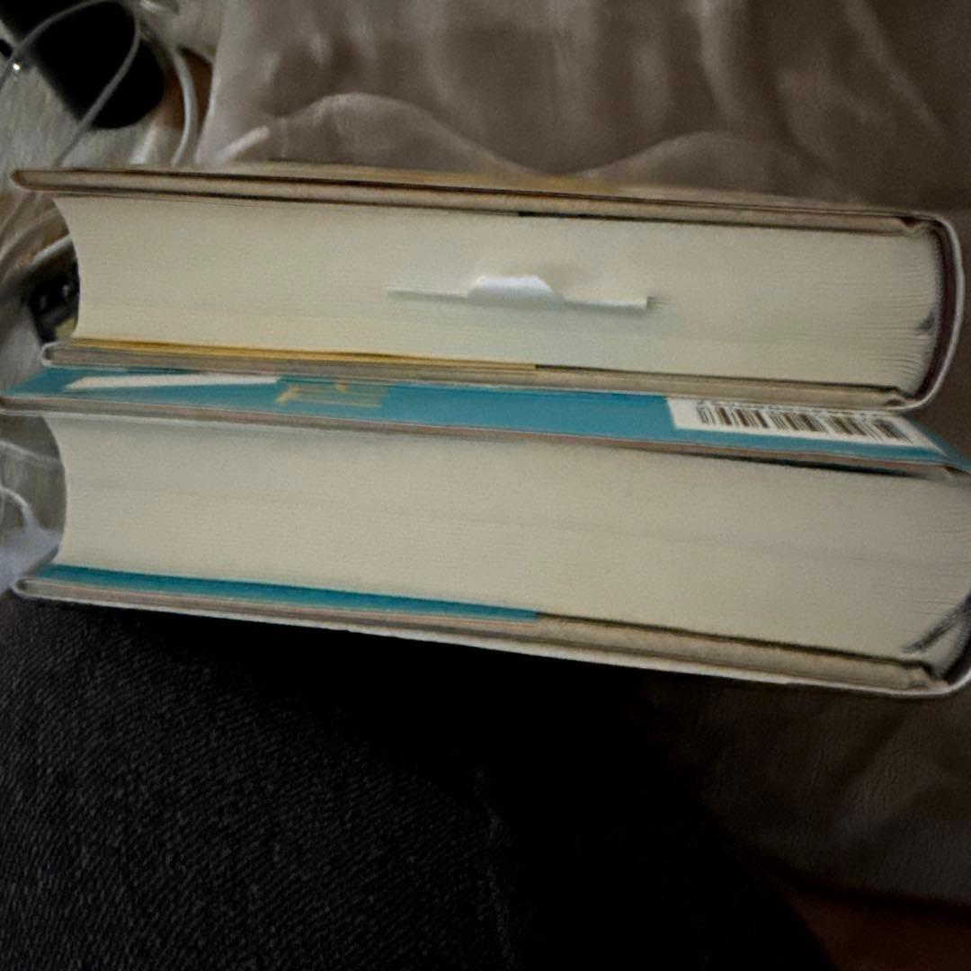 ファン　ゴッホの生涯　上　下　セット