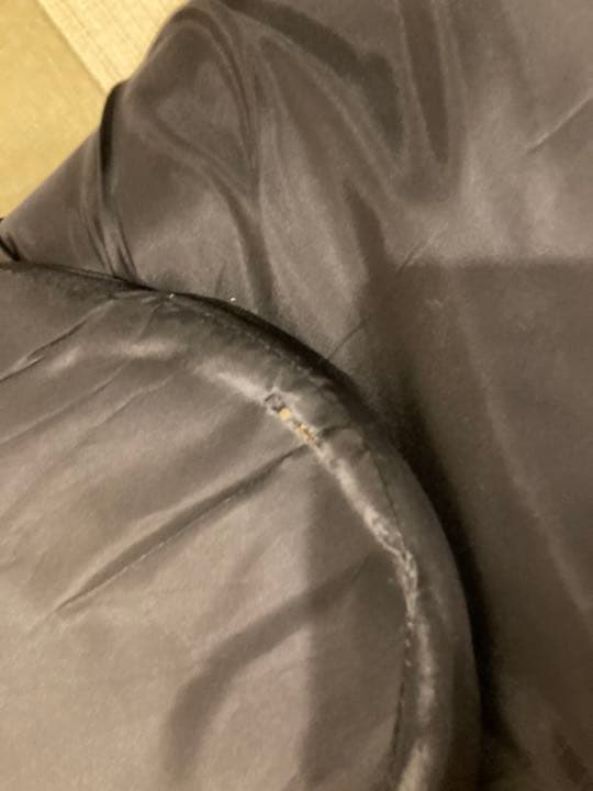 む*芸様 2個セット 背筋がGUUUN 美姿勢座椅子 リッチ RICH