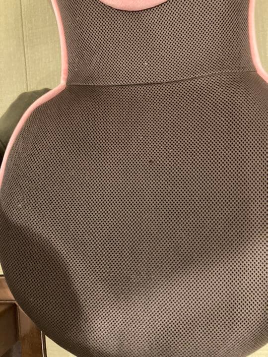 む*芸様 2個セット 背筋がGUUUN 美姿勢座椅子 リッチ RICH