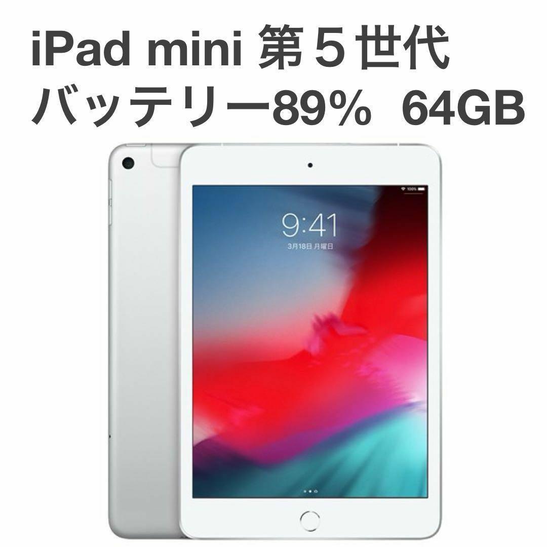 【良品】iPad mini 第5世代 cellular SIMフリーモデル㉗