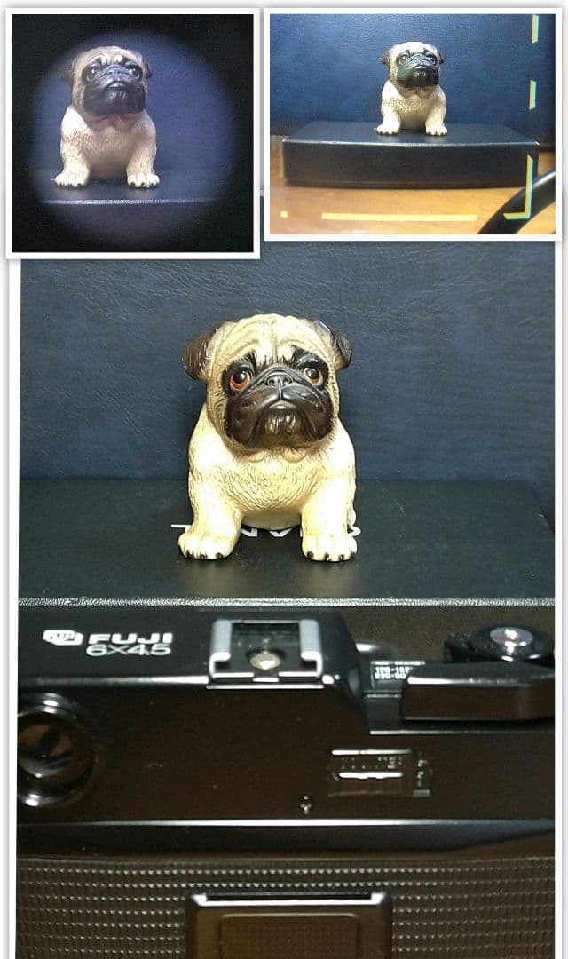 FUJI GS645 S 中判カメラ EBC FUJINON W 60㎜ f/4