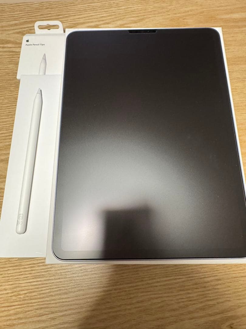 iPad Pro11インチ第4世代 ApplePencil 第2世代替芯 セット