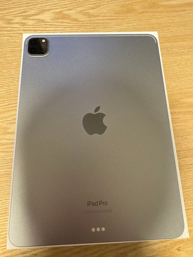 iPad Pro11インチ第4世代 ApplePencil 第2世代替芯 セット