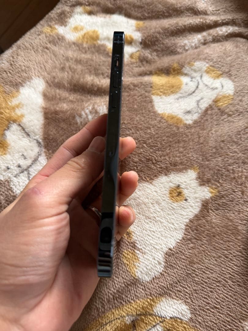 スマートフォン本体 iPhone12ProMax 128Gb