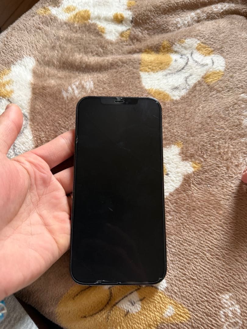 スマートフォン本体 iPhone12ProMax 128Gb