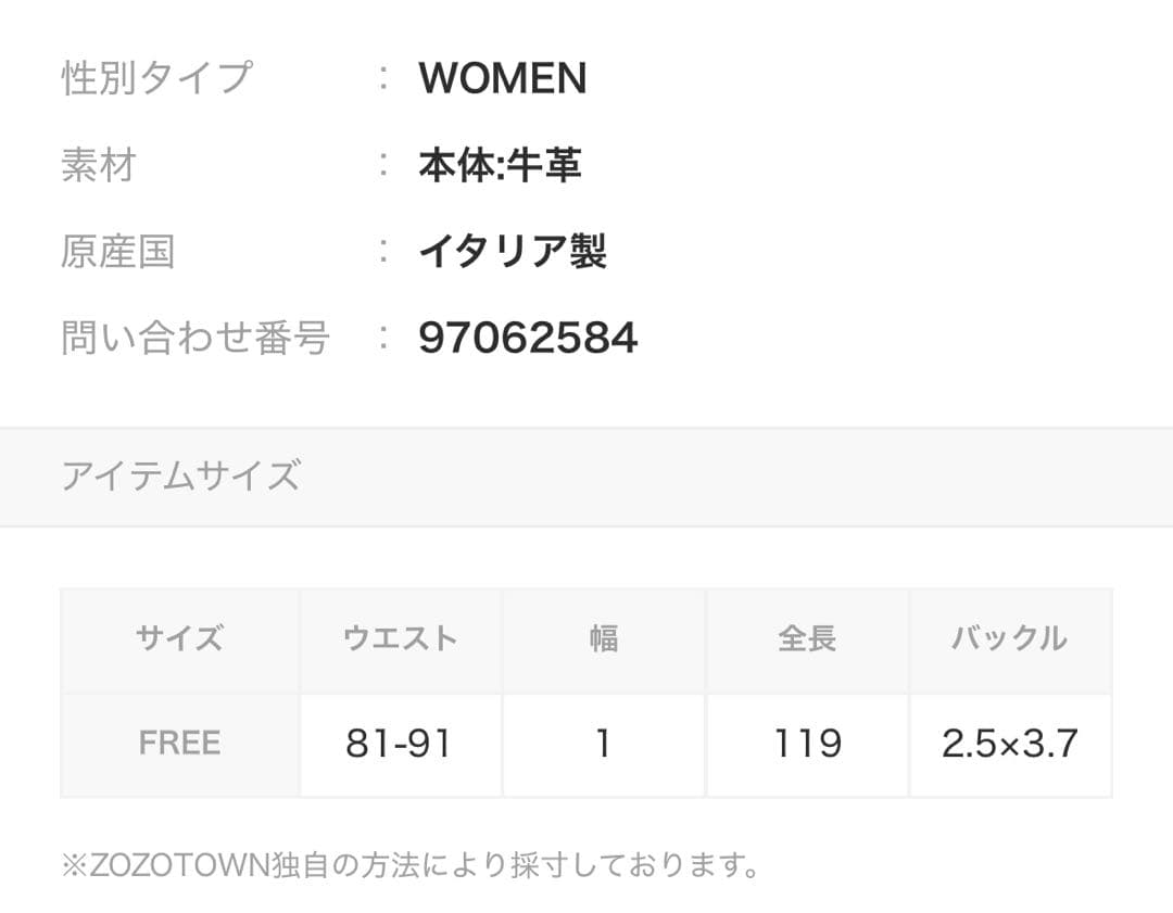 PUNTOVITA / プントヴィータ 別注コンチョ　ベルト　フレームワーク
