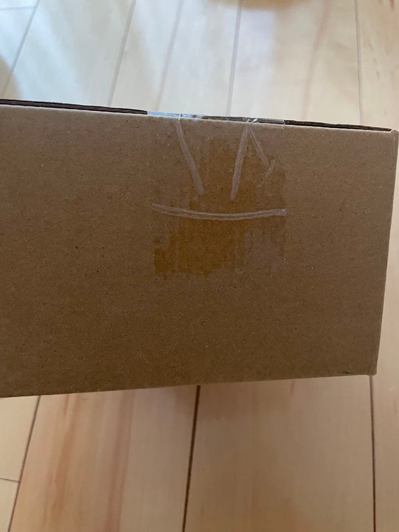 【値下げ！完全未開封 】ポケモンセンターヒロシマBOX