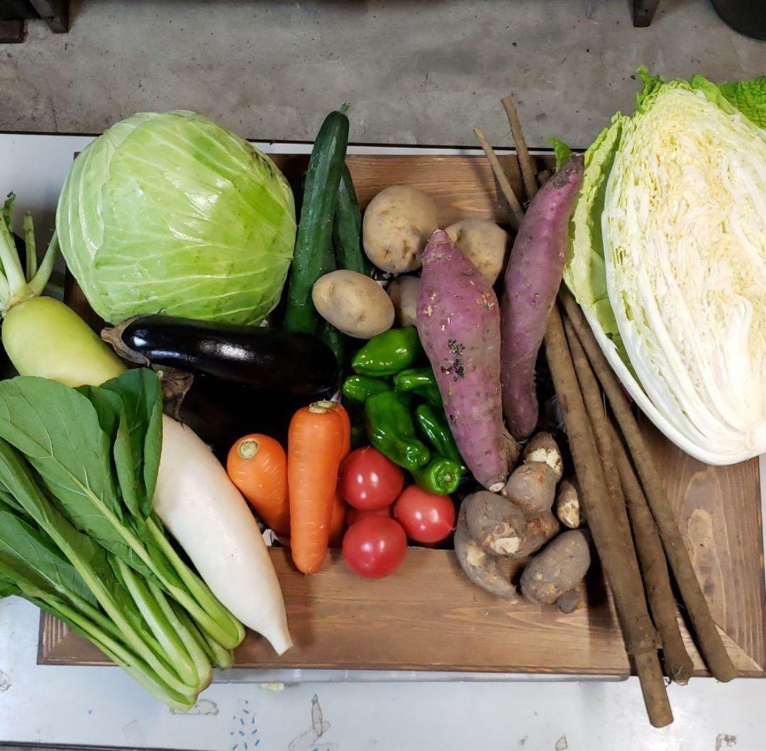 totomon様 野菜セット お米5K