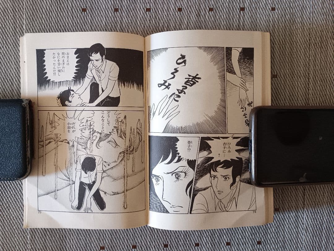 ポ*郎様 ひばり書房　血のバラ乙女　 流悦子著