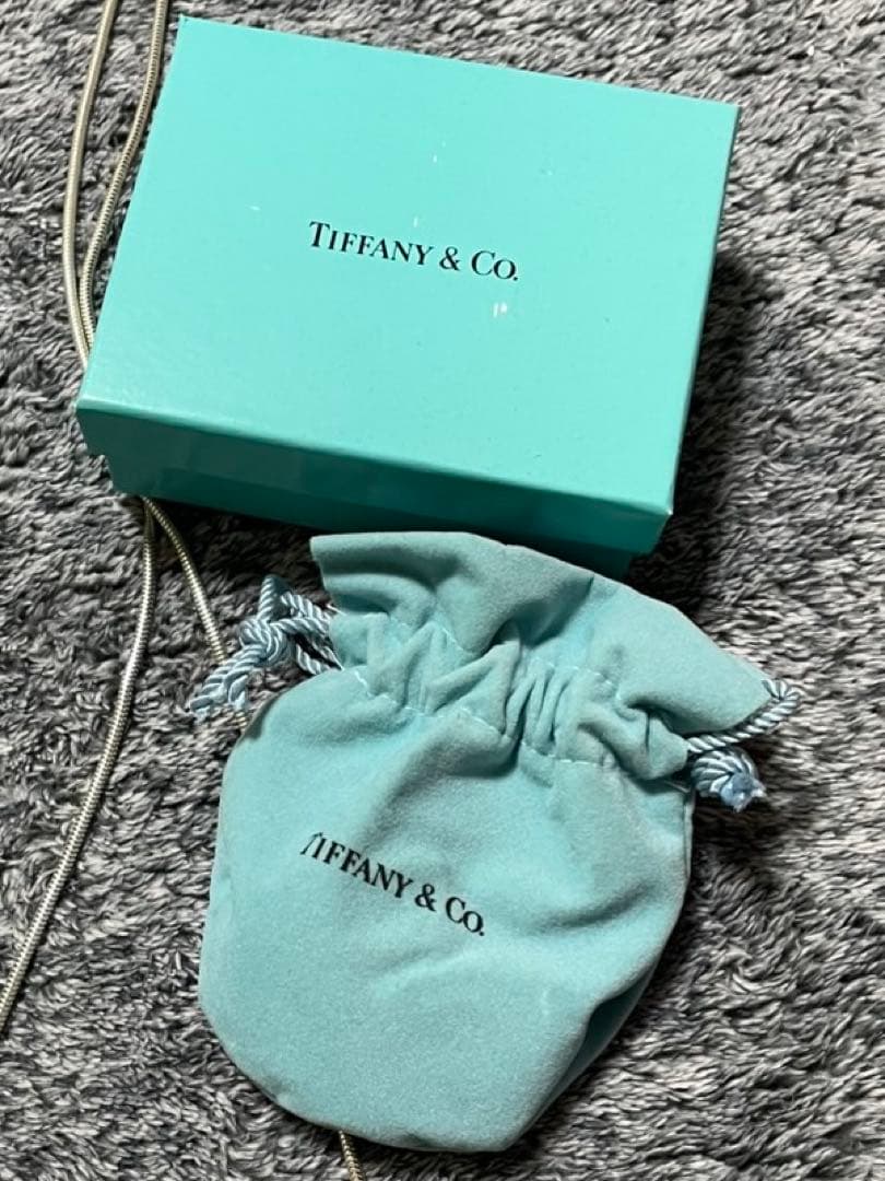 s*a様 ティファニー　バッグ型ピルケース ネックレス