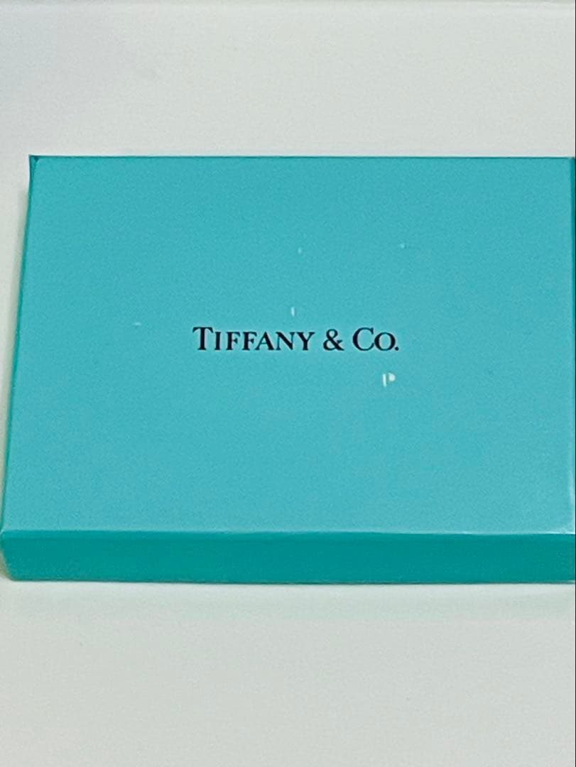 s*a様 ティファニー　バッグ型ピルケース ネックレス