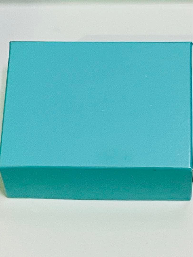 s*a様 ティファニー　バッグ型ピルケース ネックレス