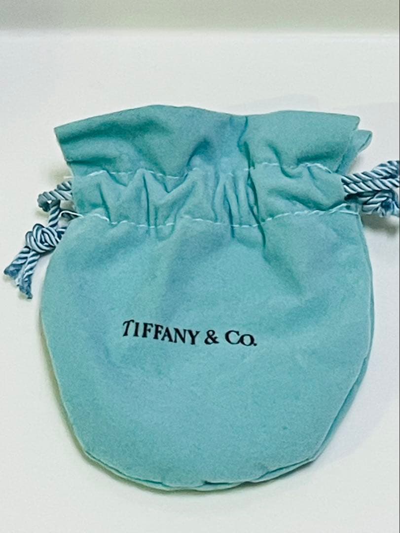 s*a様 ティファニー　バッグ型ピルケース ネックレス