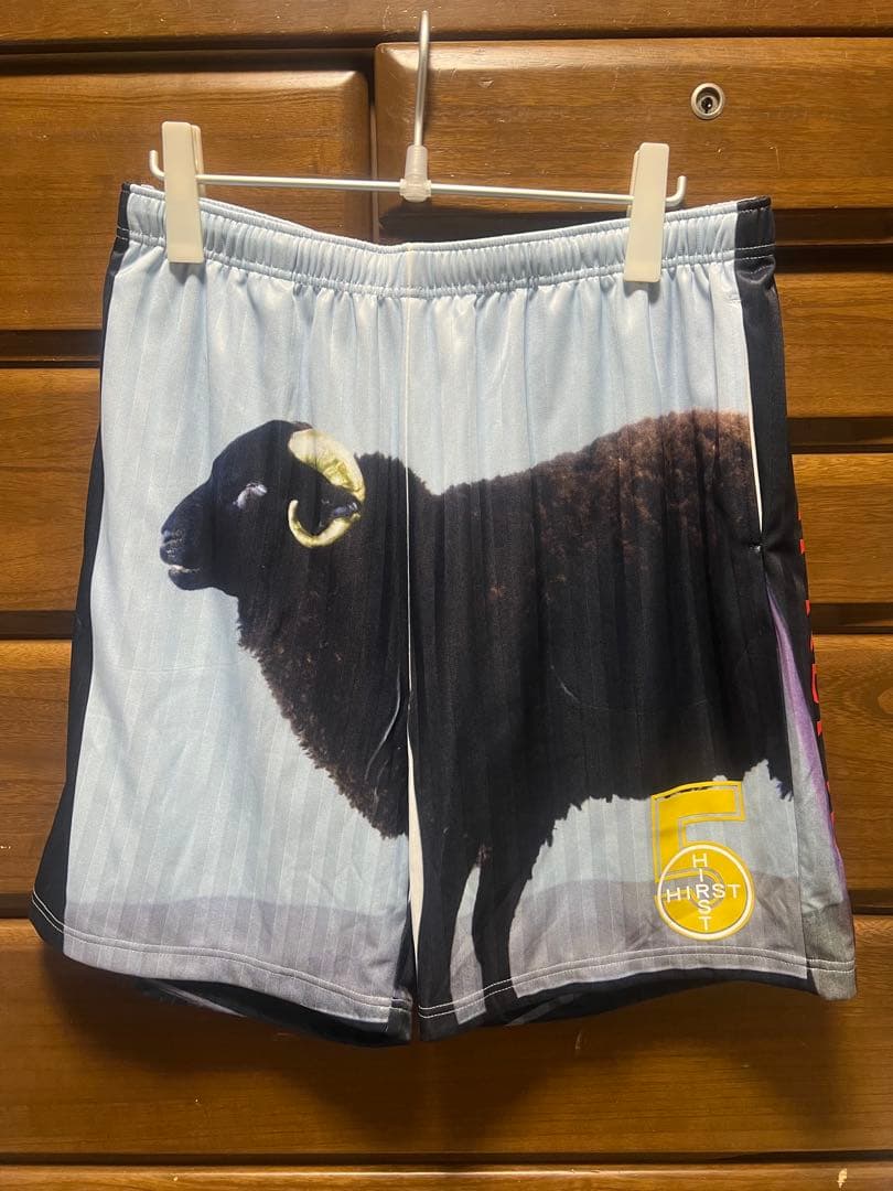 パンツ Supreme Damien Hirst Soccer Short Black