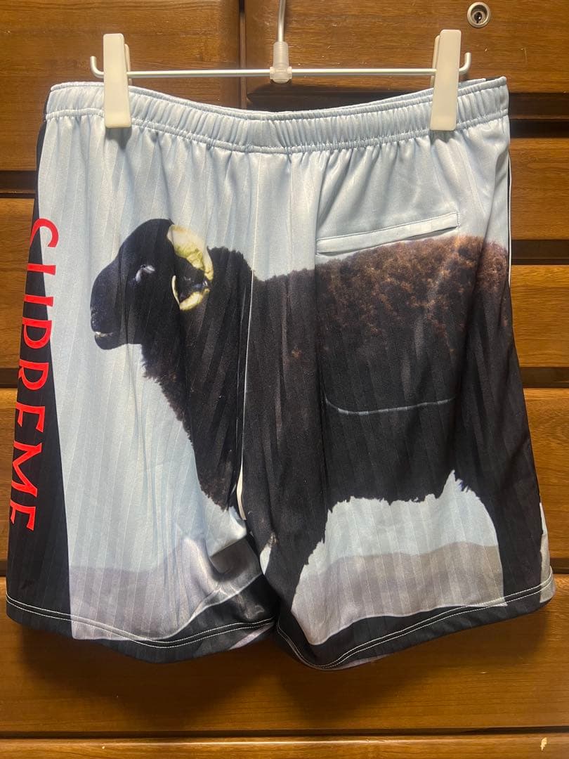 パンツ Supreme Damien Hirst Soccer Short Black