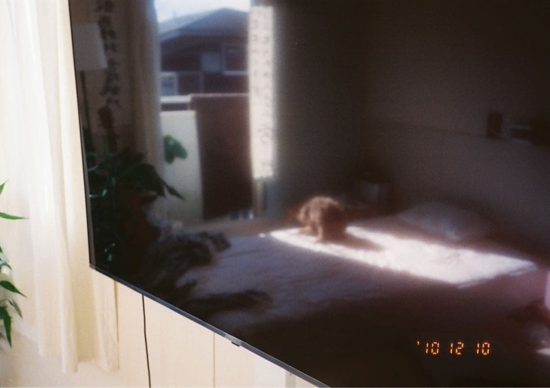 LG 55V型 UHD液晶テレビ