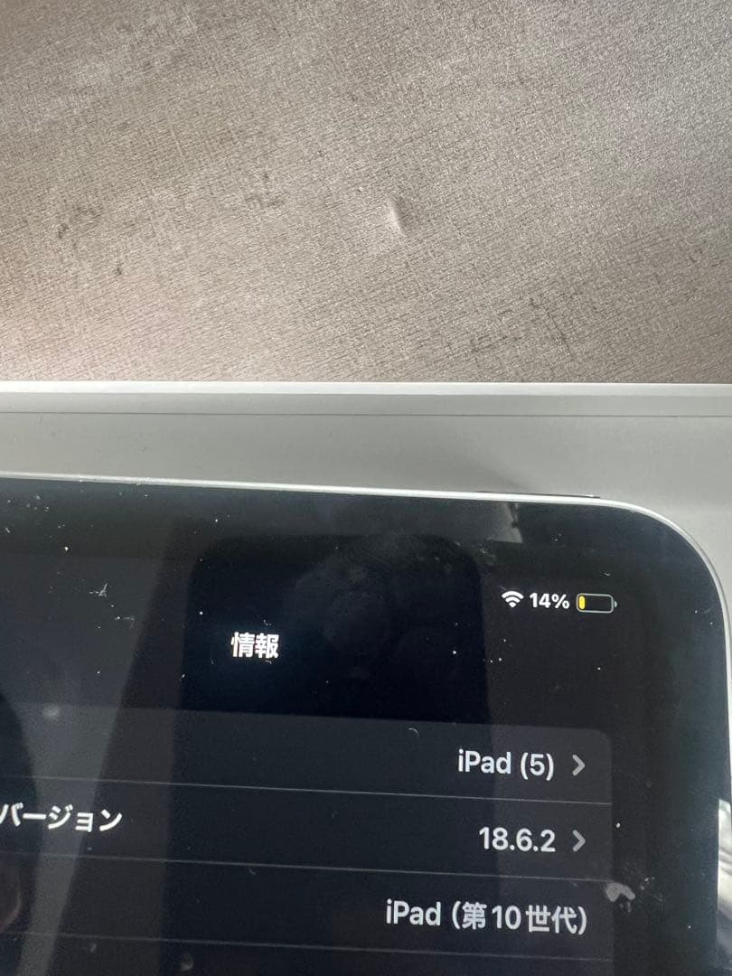 iPad 10世代　256GB SIMフリー　本体　箱あり